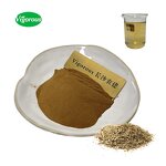 Yerba Mate Extract - Manufacturer - 10:1 Ilex Paraguariensis Pure Natural Tea Powder