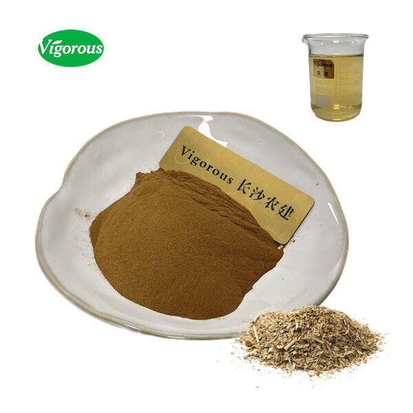 Yerba Mate Extract - Manufacturer - 10:1 Ilex Paraguariensis Pure Natural Tea Powder