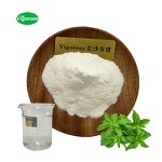 Stevia Extract - Manufacturer - 90% Glucosylated Steviol Glycosides Natural Sweetener