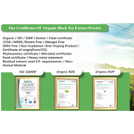 Black Tea Extract Powder - Manufacturer - Camellia Sinensis Instant Flavored Free Sample