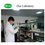 Blood Orange Powder - Manufacturer - Citrus Sinensis Spray Dried Food Additive