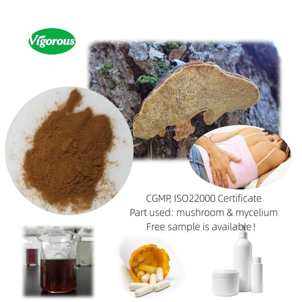 Fomitopsis Officinalis Extract - Manufacturer - 30% Polysaccharides Agarikon Mushroom