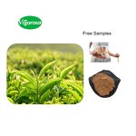 Green Tea Extract - Manufacturer - 98% Polyphenols High Purity Free Sample Cheap