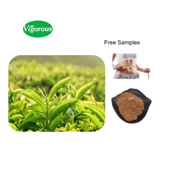 Green Tea Extract - Manufacturer - 98% Polyphenols High Purity Free Sample Cheap