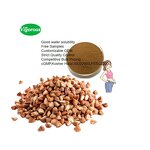 Buckwheat Seed Extract - Manufacturer - CGMP 10:1 Pure Natural Free Sample Cheap