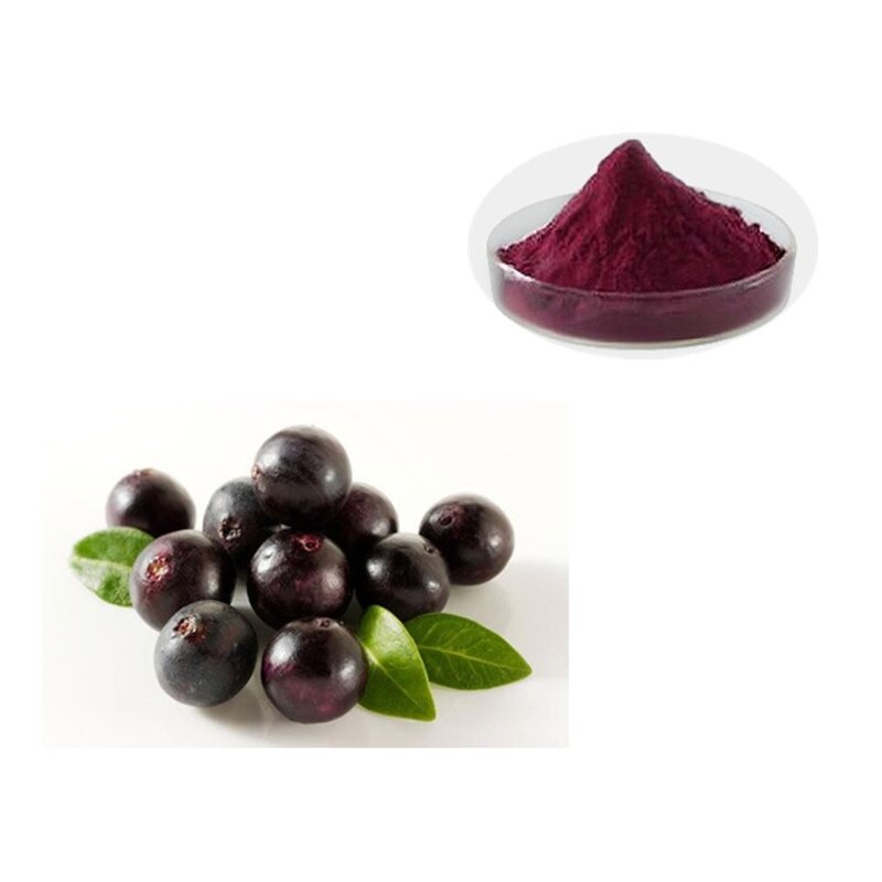 Acai Berry Extract - Manufacturer - Fresh Natural Supplement Free Sample Pure