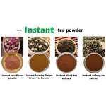 White Tea Extract Powder - Manufacturer - Camellia Sinensis Leaf Extract Free Sample