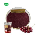 Tart Cherry Extract - Manufacturer - 3% Anthocyanins Pure Natural Fruit Powder