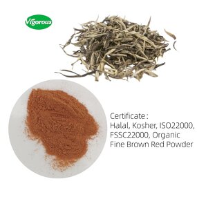 White Tea Extract Powder - Manufacturer - Camellia Sinensis Leaf Extract Free Sample