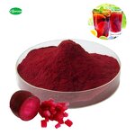 Red Radish Extract - Manufacturer - Natural High Quality Pure Pigment Powder