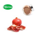 Pomegranate Extract - Manufacturer - Best Selling Free Sample China Supplier Pure