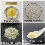 Mango Powder - Manufacturer - 100% Pure Freeze Dried Extract Free Sample Wholesale