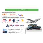 Sea Buckthorn Powder - Manufacturer - Organic Hippophae Rhamnoides for Food Drinks