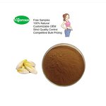 Roasted Chicory Root Powder - Manufacturer - 100% Natural for Sugar-Free Beverages