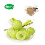Amla Extract Powder - Manufacturer - Emblica Officinalis Fruit Free Sample High Quality