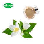 Jasmine Flower Powder - Manufacturer - Organic Certified Instant for Drinks Pure