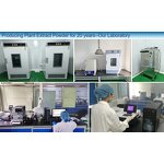 Sunflower Lecithin Extract - Manufacturer - Food Grade for Brain Health Pure Natural