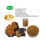 Chaga Mushroom Extract - Manufacturer - FSSC22000 30% Polysaccharides Wholesale Price
