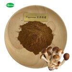 Agrocybe Aegerita Extract - Manufacturer - 30% Polysaccharides Chaxingu Free Sample