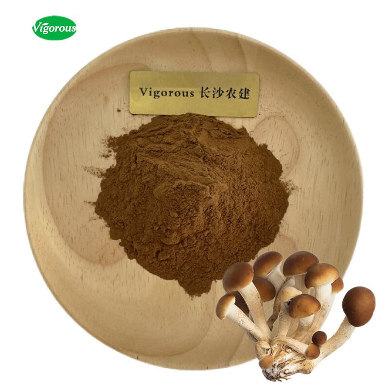 Agrocybe Aegerita Extract - Manufacturer - 30% Polysaccharides Chaxingu Free Sample