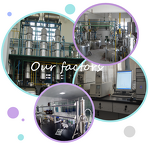 Stevia Extract - Manufacturer - 90% Glucosylated Steviol Glycosides Natural Sweetener