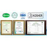 Instant Green Tea Powder - Manufacturer - 20% Polyphenols Organic Camellia Sinensis