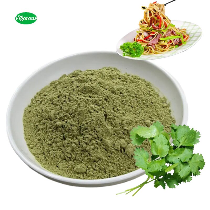 Coriander Powder - Manufacturer - Organic Coriandrum Sativum Free Sample for Food