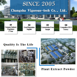 Green Tea Extract - Manufacturer - 98% Polyphenols Camellia Sinensis Pure Natural