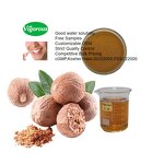 Nutmeg Extract Powder - Manufacturer - FSSC22000 Myristica Fragrans Pure Free Sample