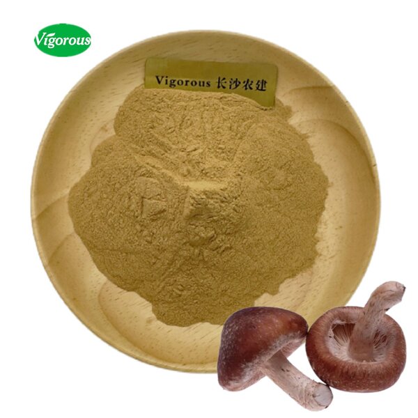 Shiitake Mushroom Extract - Manufacturer - 30% Polysaccharides Pure Direct Supplier