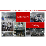 Oat Milk Powder - Manufacturer - Natural High Quality Pure Oat Powder Free Sample