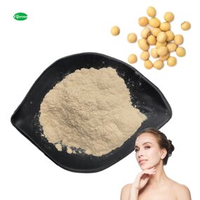 Soybean Lecithin Extract - Manufacturer - Isoflavones Phosphatidylserine Health Care