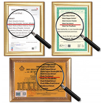 Black Tea Extract Powder - Manufacturer - Camellia Sinensis Instant Flavored Free Sample