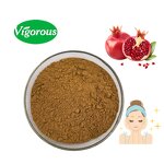 Pomegranate Extract - Manufacturer - Best Selling Free Sample China Supplier Pure