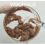 Slippery Elm Bark Powder - Manufacturer - FSSC22000 Ulmus Rubra for Digestion