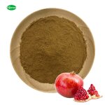 Pomegranate Peel Extract - Manufacturer - Best Selling Free Sample China Supplier
