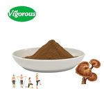 Reishi Lion's Mane Extract - Manufacturer - 30% Polysaccharides Dual Mushroom Powder