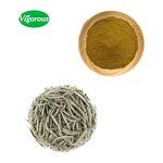 White Tea Extract - Manufacturer - 90% Polyphenols Water Soluble Camellia Sinensis