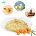 Sea Buckthorn Powder - Manufacturer - Organic Hippophae Rhamnoides for Food Drinks