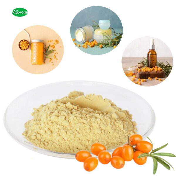Sea Buckthorn Powder - Manufacturer - Organic Hippophae Rhamnoides for Food Drinks