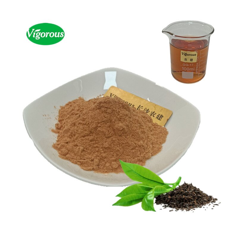 Green Tea Extract - Manufacturer - 98% Polyphenols Camellia Sinensis Pure Natural