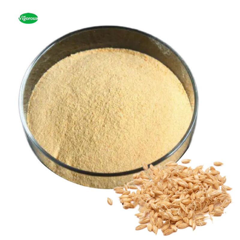 Barley Malt Extract - Manufacturer - Organic Pure Bulk for Food Health Natural