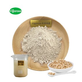 Oat Milk Powder - Manufacturer - Natural High Quality Pure Oat Powder Free Sample