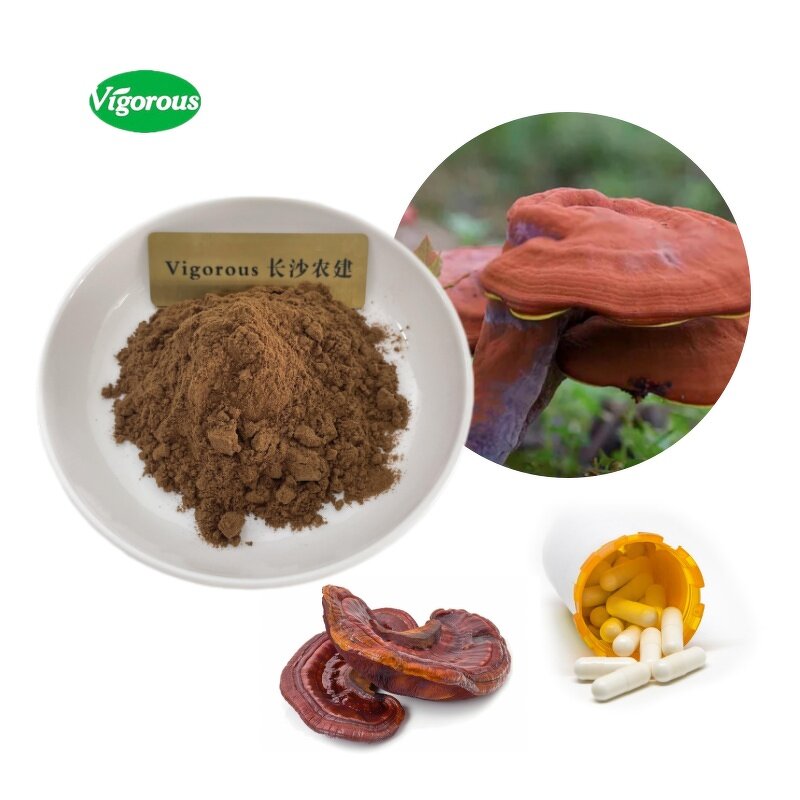 Reishi Mushroom Extract - Manufacturer - Organic GMP Ganoderma Lucidum Powder Pure
