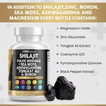 Sea Moss Capsules - Manufacturer - OEM Shilajit Black Seed Oil Ashwagandha Turmeric
