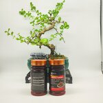 Maca Tablets - Manufacturer - Adult Health Tonic Supplement Non-Pregnant