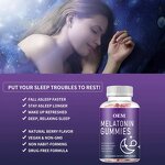Sleep Gummies - Manufacturer - Wholesale Ashwagandha L-Theanine 5-HTP Melatonin