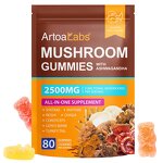 Mushroom Extract Gummies Manufacturer - ArtoaLabs Wholesale Vegan Lion's Mane & Reishi for Focus