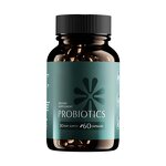 Probiotics System Supplement Manufacturer - OEM Prebiotics & Gut Health with Digestive Enzymes