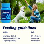 Pet Vitamin C - Manufacturer - OEM Private Label Immune Support for Dogs Cats